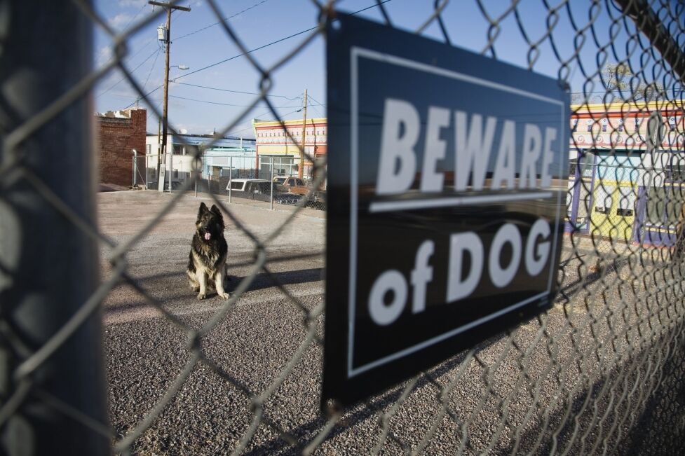dog bite lawyer West Jordan, UT